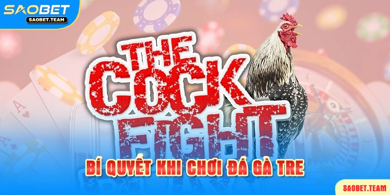 Các bí kíp quan trọng khi chơi đá gà tre