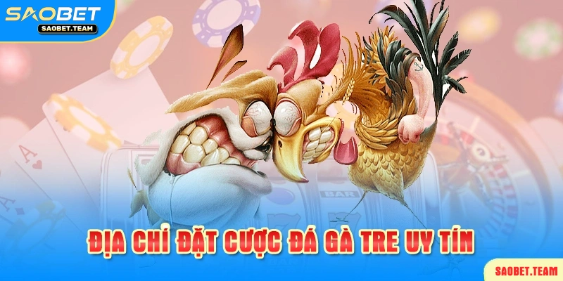 hướng dẫn người mới cách tham gia đá gà saobet