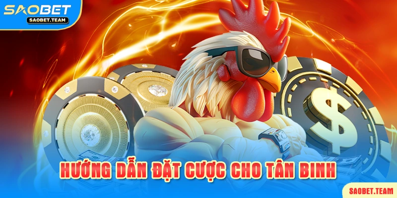 Cách cá cược đá gà