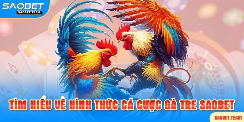 Cá cược gà tre là gì